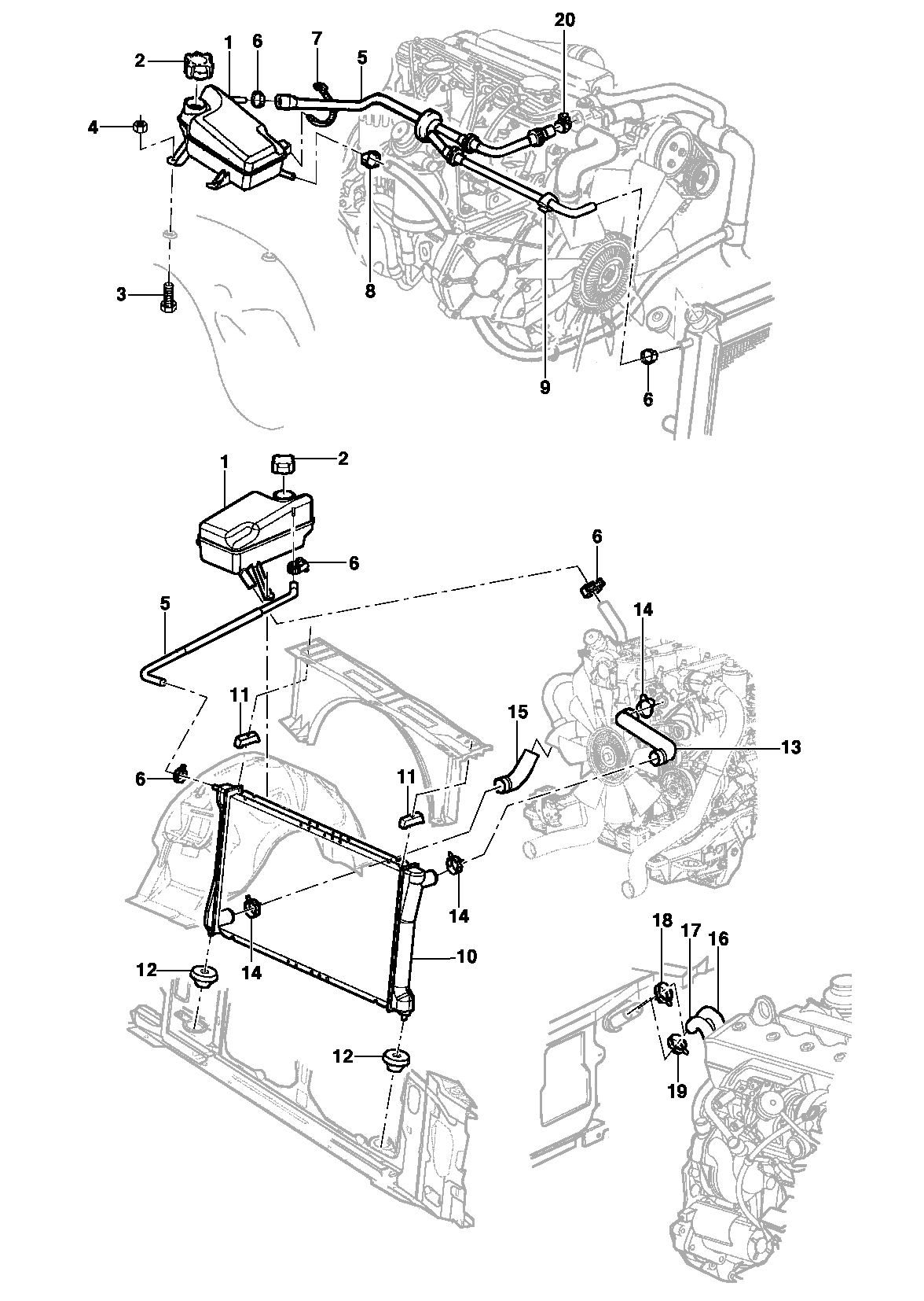 Радиатор, шланги радиатора и расширительный бачок - Двигатель LK6
